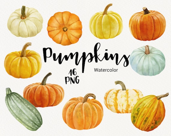 Pumpkin Clipart, Watercolor Fall Autumn clipart, orange and green Cute Pumpkins vegetables digital clip art. Scrapbooking, wedding, PNG DIY