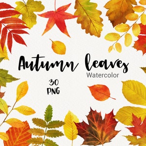 Feuilles d'automne clipart aquarelle automne, feuilles orange, vertes et jaunes numériques, scrapbooking, carte de remerciement, planificateur PNG bricolage