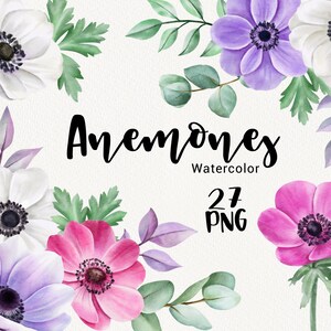Clipart de anémona de acuarela, hojas de eucalipto, Floral de verano, Flores, Elementos del planificador botánico, Scrapbooking, Invitación de boda PNG