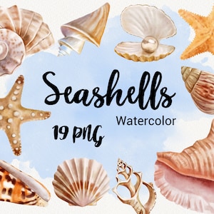 Clipart z muszlami akwarelowymi, clipart z plażą oceaniczną, muszle morskie, rozgwiazdy, muszle, marynistyczne, lato, dekoracja ścienna, natychmiastowe pobieranie PNG
