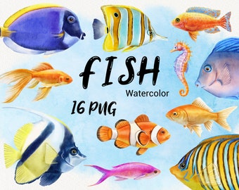 Watercolor Fish Clipart, Ocean Clip art, Sea life Animals, Tropical Coral Reef, Colorful Fish Clipart, Nautical, instant download, PNG