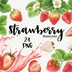 Watercolor Strawberry Clipart, Spring Fruit clip art, Summer fruits, Red berries, Hand painted, Instant Download, Scrapbook, PNG