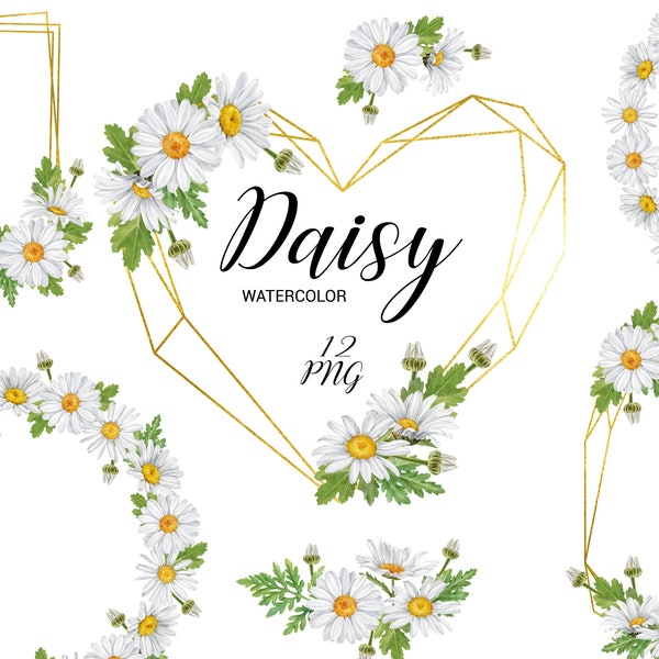 Watercolor Daisy wreath clipart, Chamomile spring flowers frame, hand painted floral clip art, bouquets, Wildflower round wreaths set PNG