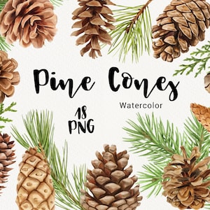 Clipart acquerello pigna, ClipArt di verde natalizio, vacanze invernali, ramo di un albero, clipart di matrimonio sempreverde bosco rustico natura PNG