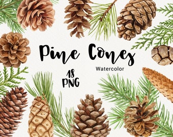 Watercolor Pine Cone Clipart, Christmas greenery Clip art, Holiday Winter, Tree branch, Evergreen Woodland Rustic Nature wedding clipart PNG