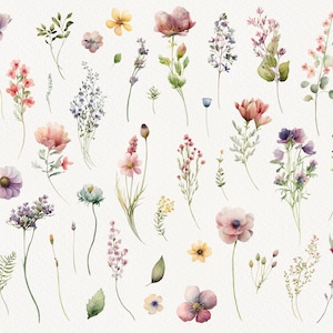 Watercolor Wildflowers Clipart, Meadow Floral Clip Art, Summer Flowers ...
