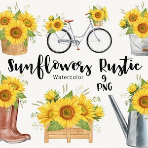 Watercolor Sunflowers Clipart, Autumn Rustic clip art, Fall Harvest, Thanksgiving Day art, floral bouquet, invitations, Scrapbooking PNG