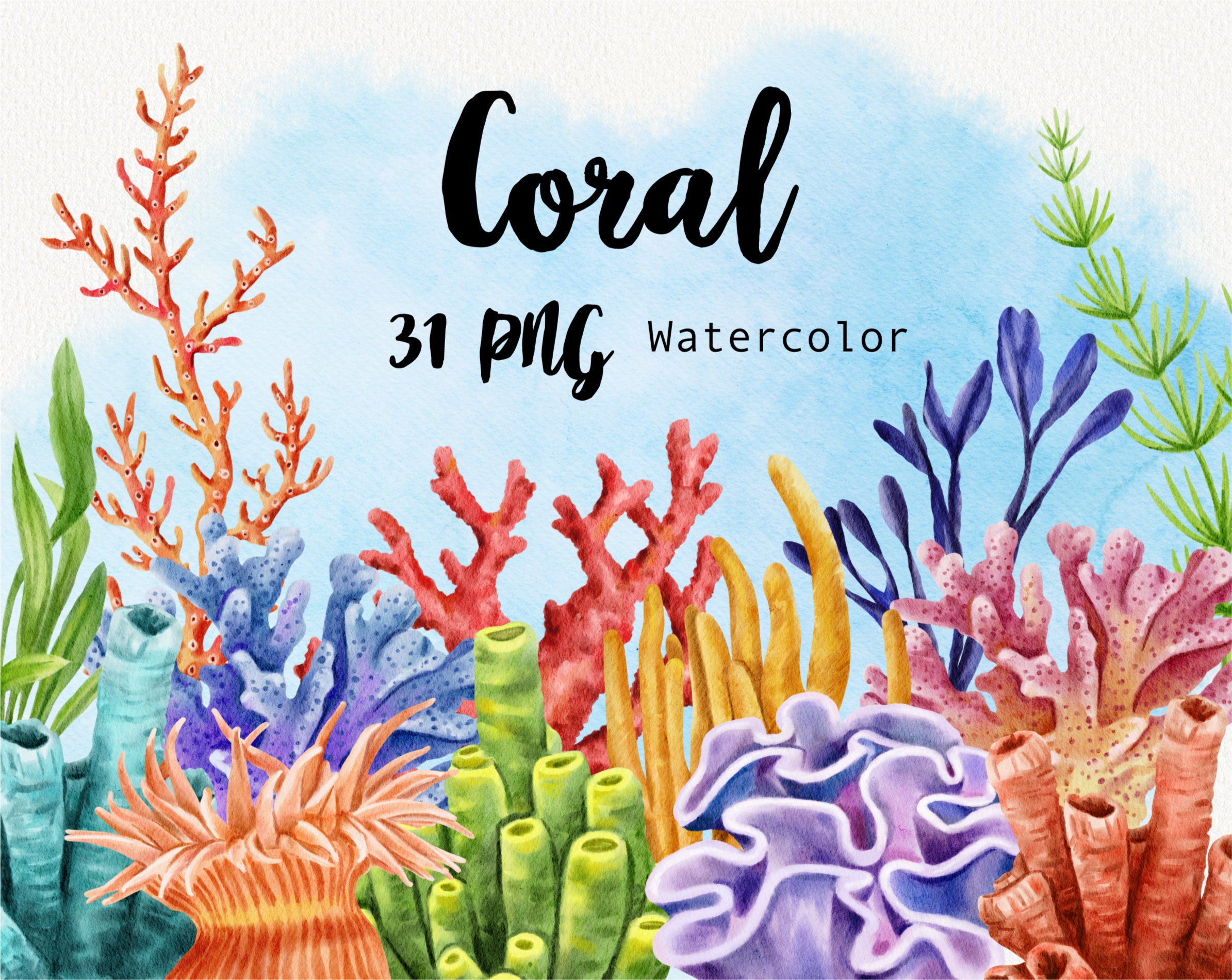 Watercolor Coral Reef Clipart Under the Sea Life Clip Art - Etsy Finland