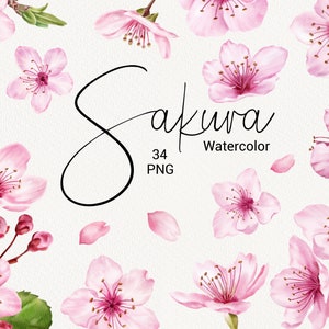 Clipart de flor de cerejeira, flores de sakura rosa em aquarela, clipart floral de primavera, convite de casamento, conjunto de scrapbooking, planejador PNG DIY