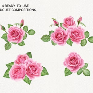 Watercolor Pink Roses Clipart, Valentine's Day Flower Clip Art, Vintage ...