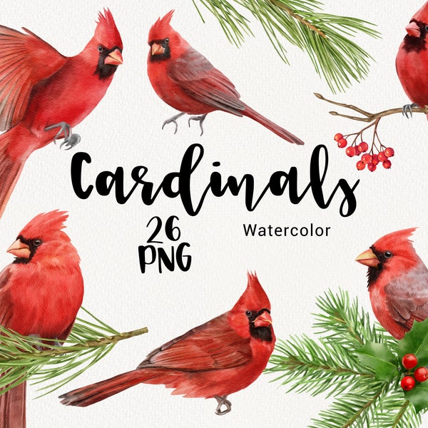 Watercolor Red cardinals clipart, Christmas Birds clip art, Winter Holiday, Tree branch, forest, Pine Cone, conifers, wedding clipart PNG