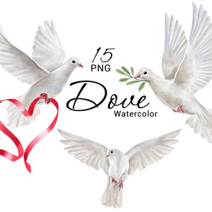 Aquarel Dove clipart, Summer Bird illustraties, romantische witte duiven, vredesduif, liefde, hart, bruiloft uitnodiging, handgeschilderde PNG