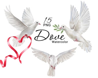Watercolor Dove clipart, Summer Bird clip art, Romantic White Doves, Dove of Peace, Love, Heart, Wedding Invitation, Hand painted PNG