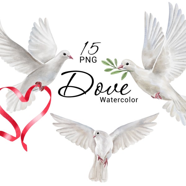 Watercolor Dove clipart, Summer Bird clip art, Romantic White Doves, Dove of Peace, Love, Heart, Wedding Invitation, Hand painted PNG