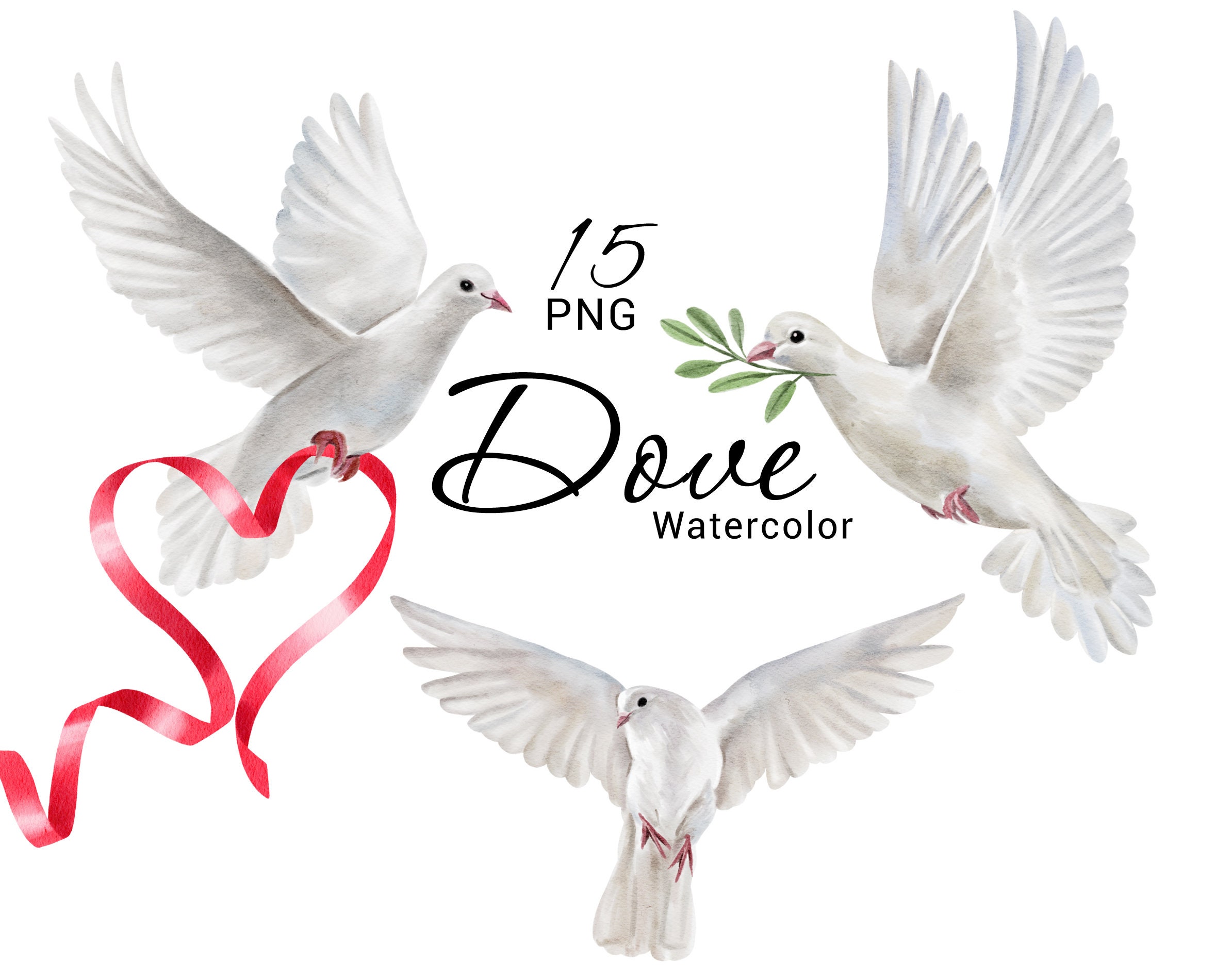 Dove Clipart - Etsy