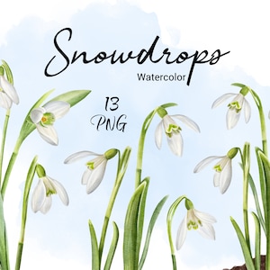 Clipart bucaneve acquerello, clip art fiori primaverili, verde floreale, buona pasqua, invito a nozze Prima Comunione Download immediato PNG