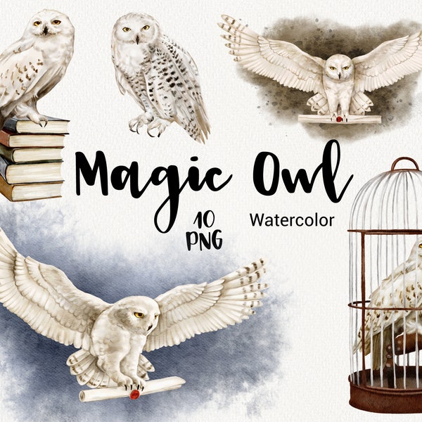 Watercolor Owl Clipart, Magic School, Wizard Clip Art, Hedwig owl, Halloween Clipart, bird clip art, Old Books, digital download graphic PNG