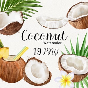 Clipart akwarelowy kokosa, clipart owoców letnich, liście tropikalne, palma plażowa, jedzenie wegańskie, zaproszenie na ślub, natychmiastowe pobieranie PNG
