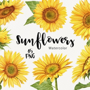 Aquarelle tournesol clipart, fleurs sauvages boho floral, clip art d’été, invitation de mariage, sublimation de décor imprimable Instant Download PNG