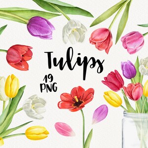 Aquarel Tulp clipart, Pasen Lente Bloemen, Moederdag, Tulpen Boeket, Botanische, Liefde, Bloemen bruiloft Decor Handgeschilderde DIY PNG