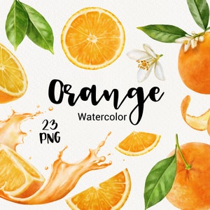 Acquerello Arancio Clipart, agrumi clip art, fiori Arance, Rami Fiore estate, Dipinto a mano, Invito Matrimonio, Scrapbook PNG