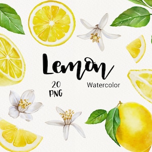 Acuarela Lemon Clipart, Clip art de fruta de limón de verano pintado a mano, flores limón, Invitación Boda Citrus Scrapbook PNG archivos DIY