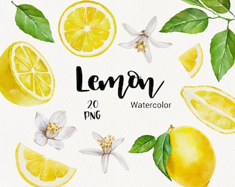 Watercolor Lemon Clipart, Hand painted summer lemon fruit clip art, flowers lemon, Invitation Wedding Citrus Scrapbook PNG files DIY