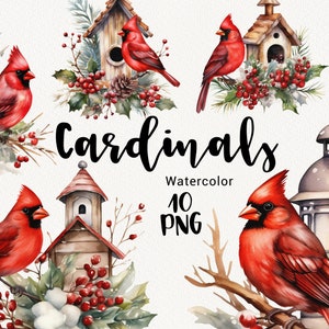 Aquarell Rote Kardinäle Clipart, Winter-Vogelhaus Kardinal, Gemütliches Blumenvogelhaus, Wald, Weihnachtsferien Illustration Sublimation PNG