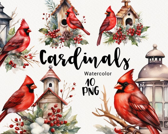 Cozy Cardinal Holiday Card Cozy Cardinal Holiday Card