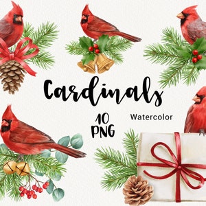 Clipart cardinale, Acquerello Natale PNG, Uccelli rossi invernali clip art, Pigne, Rami di abete rosso, Vacanze, disegni a sublimazione scaricare