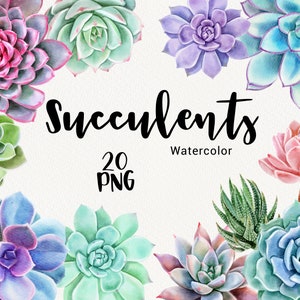 Acuarela Suculenta Clipart. Flores de primavera jardinería boho planta y cactus, invitación floral de boda, álbum de recortes Descarga instantánea PNG