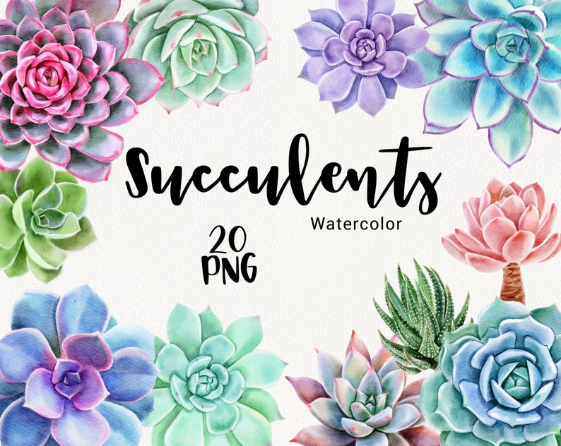 Watercolor Succulent Clipart. Spring Flowers Gardening Boho - Etsy