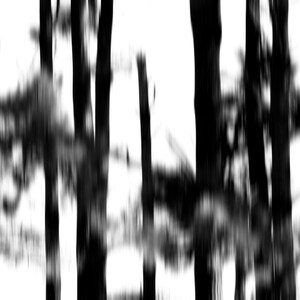 May include: Black and white abstract pattern with vertical lines and blurred horizontal lines. The pattern is reminiscent of a forest with trees and shadows.