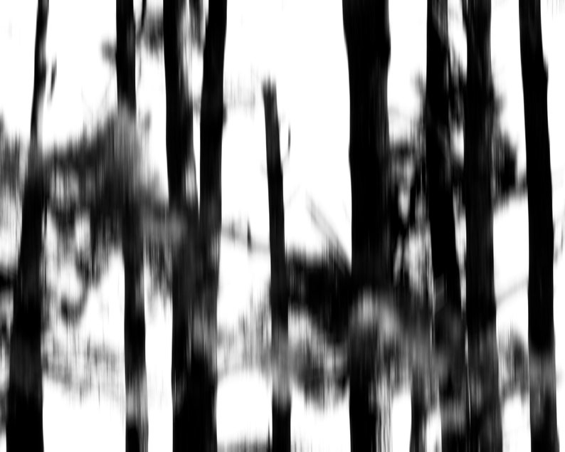 May include: Black and white abstract pattern with vertical lines and blurred horizontal lines. The pattern is reminiscent of a forest with trees and shadows.