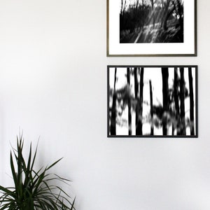 May include: Two black and white framed photographs of trees. The top photo shows a path through a forest with sunlight shining through the trees. The bottom photo shows a blurred image of trees.