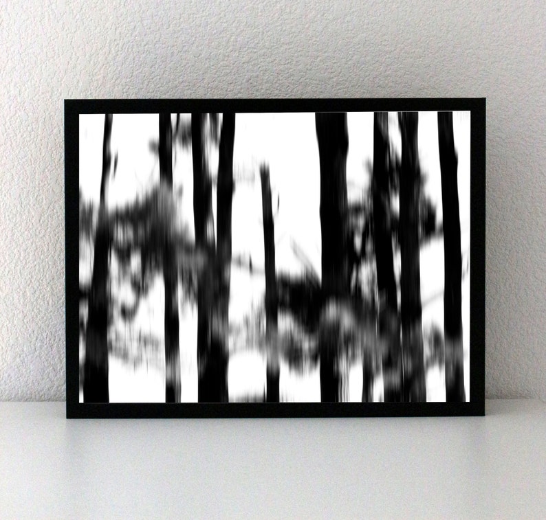 May include: Black and white photograph of a forest with tall trees. The trees are blurred and the background is white.