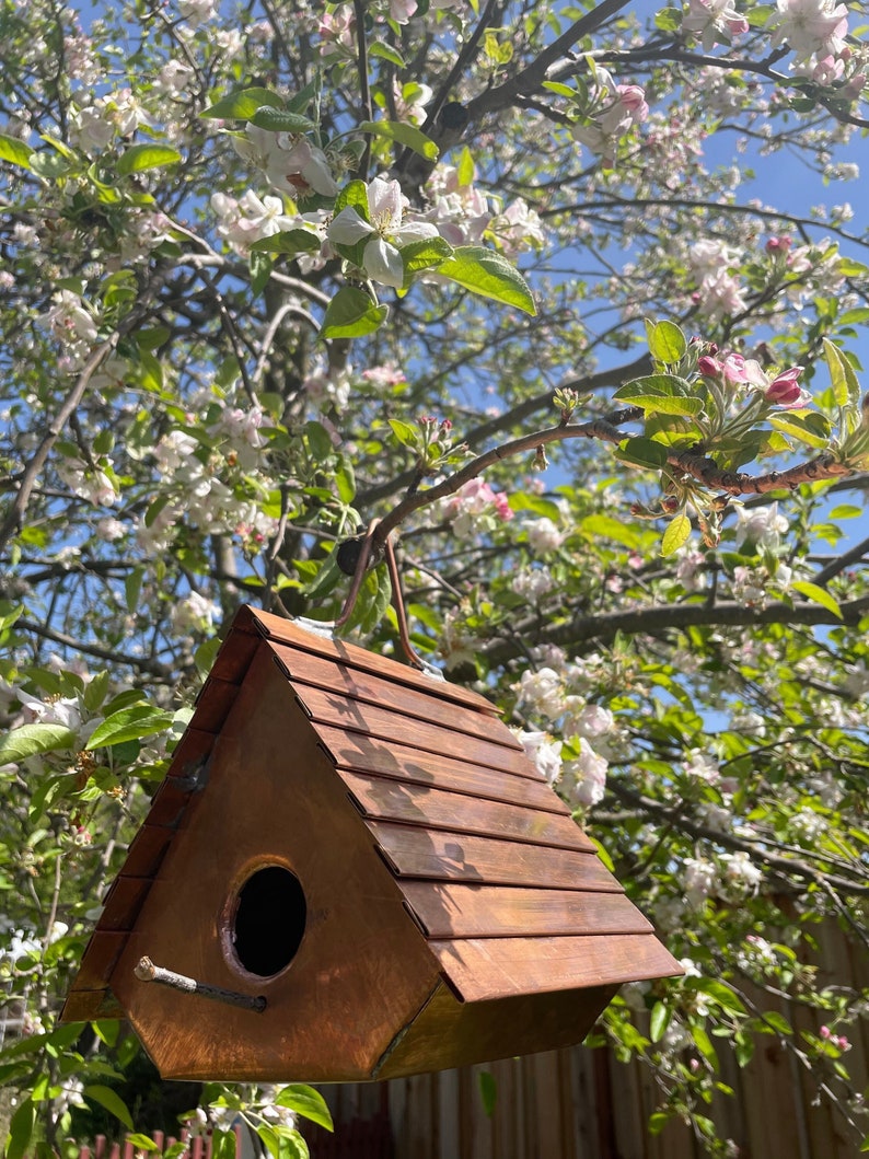 Puede incluir: Una casa para p&aacute;jaros de cobre con un techo triangular de paneles met&aacute;licos horizontales, un orificio de entrada circular y una peque&ntilde;a percha de madera que sobresale. La estructura cuelga de un gancho met&aacute;lico frente a un &aacute;rbol en flor.