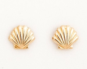 14k Solid Gold Sea Shell Studs, Gold Seashell Earrings, Tiny Dainty Shell Studs Earrings, Minimalist Shell Stud Earrings, Earrings  For Her