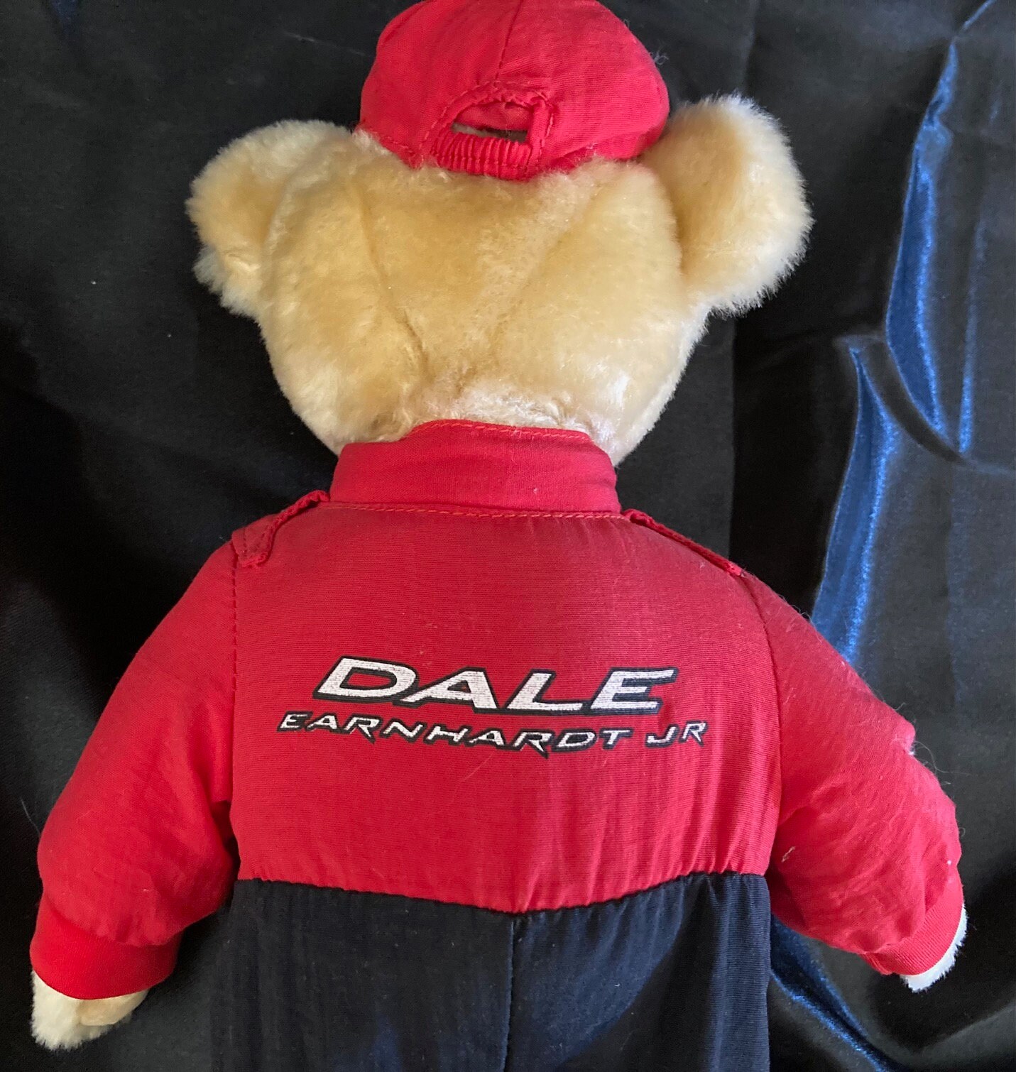 Dale Earnhardt Jr. NASCAR Collector Plush Bear With Stand vintage preowned Etsy UK