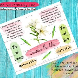 May include: Printable 8.5 x 11 inch PDF with watercolor illustrations of lilies and inspirational quotes from the Bible. The text reads "Consider the lilies of the field, how they grow: they neither toil nor spin; and yet I say to you that even Solomon in all his glory was not arrayed like one of these."  "Do not worry"  "Do not fear"  "Consider the lilies"  "Matthew 6:28-30"  "Luke 12:27-28"
