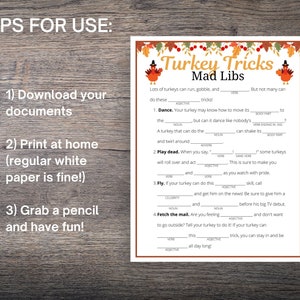 Thanksgiving Ad Libs BUNDLE, Thanksgiving Word Game for Kids & Adults, Thanksgiving Day Games, Fun Thanksgiving Dinner Activity for Families image 4