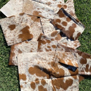 May include: A collection of rectangular cowhide leather patches featuring a natural spotted pattern in shades of brown and white. The pieces are arranged in an overlapping cluster, displaying the short, textured hair and varied organic markings.