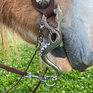 Dragon Academic Horse Curb Bit. Stainless Steel. 4.5”-7” Sizes Includes Hooks and Curb Chain.