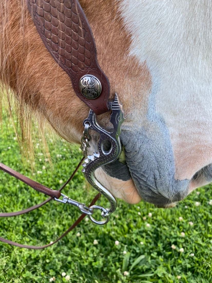 Dragon Academic Horse Curb Bit. Stainless Steel. 4.57 Sizes Includes