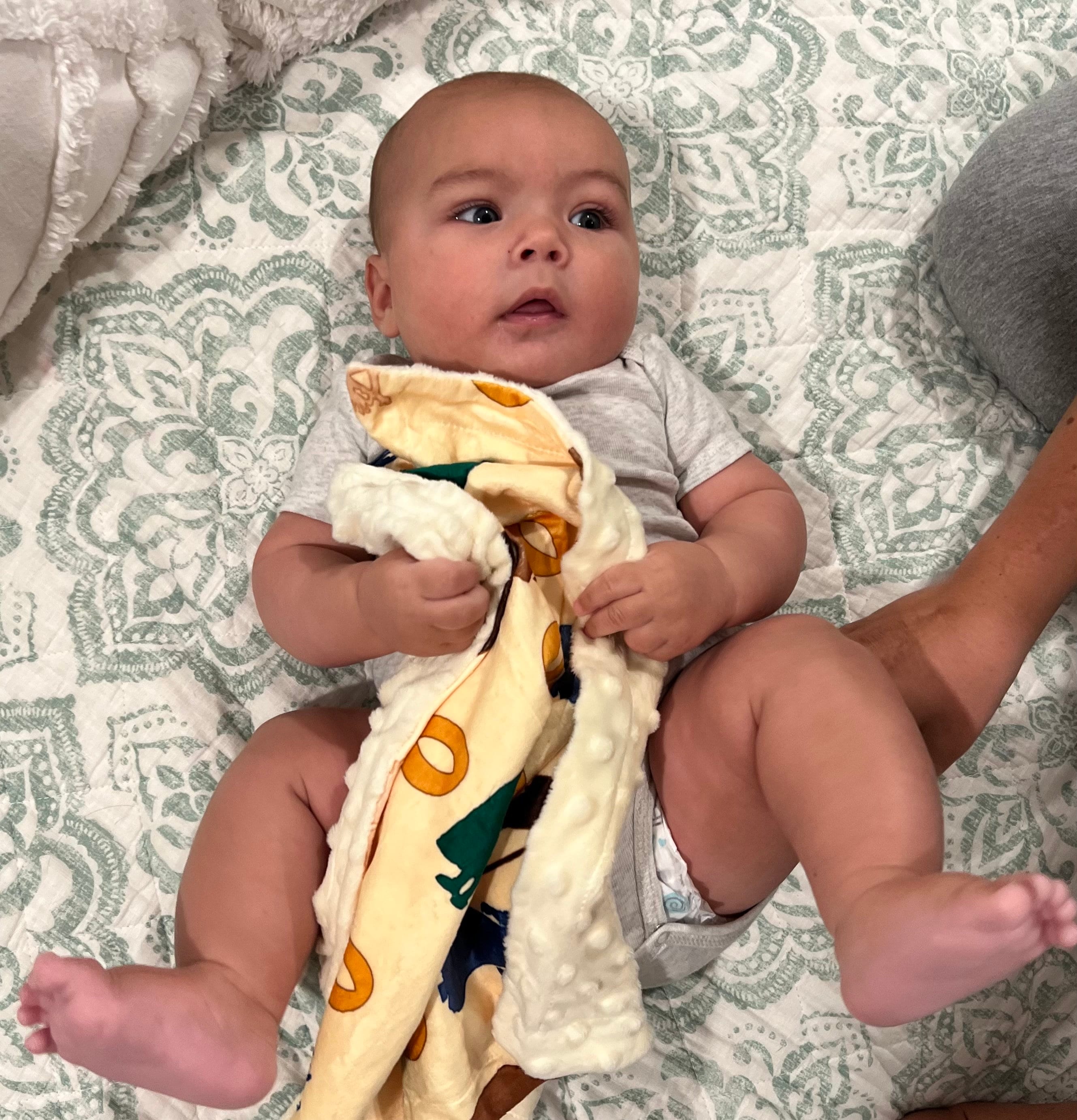 Lord of the Rings / Silhouettes / Baby Blanket / Lovey / Minky