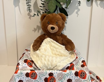 Star Wars Ewok Space Bear Baby Lovey