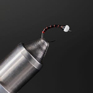 May include: A black and red fly fishing lure with a white bead on a metal hook.