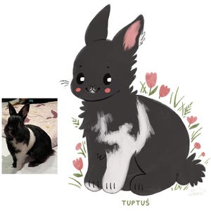 May include: A black and white rabbit with pink ears sits in a field of green grass and pink flowers. The rabbit has a cute, cartoonish style and is looking to the right. The text "TUPTU&Scaron;" is written below the rabbit.