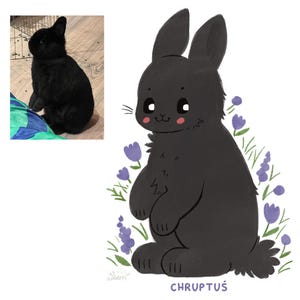 May include: A black and white illustration of a black rabbit with big eyes and a pink nose. The rabbit is standing in a field of purple flowers. The text "CHRUPTU&Scaron;" is written below the rabbit.