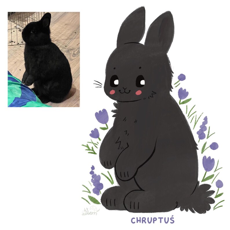 May include: A black and white illustration of a black rabbit with big eyes and a pink nose. The rabbit is standing in a field of purple flowers. The text "CHRUPTU&Scaron;" is written below the rabbit.